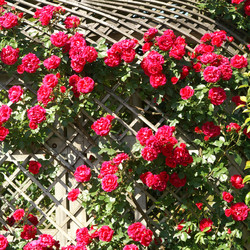 Similar image 1387811