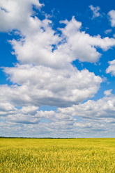 Similar image 1387817