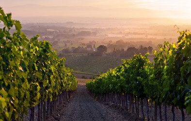 Similar image 1387888