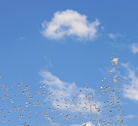 Similar image 1387945