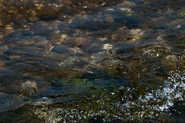 Similar image 1387979