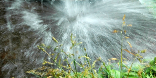 Similar image 1388010