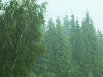 Similar image 1388011