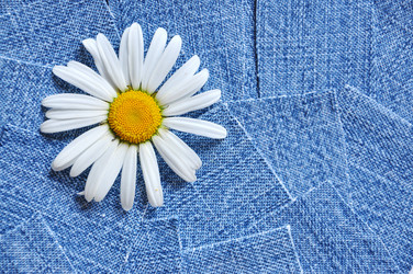 Similar image 1388018