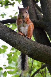 Similar image 1388020