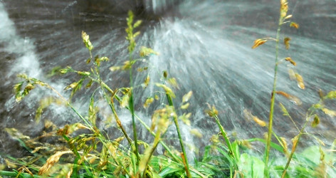 Similar image 1388021