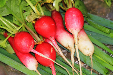 Similar image 1388080