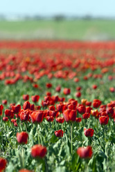 Similar image 1388091