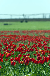 Similar image 1388147