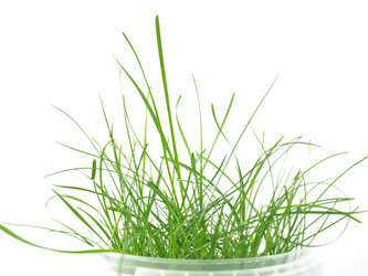 Similar image 1388175