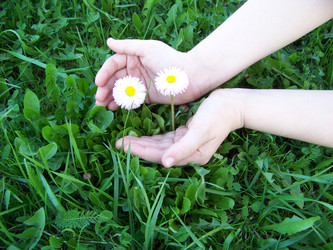 Similar image 1388214