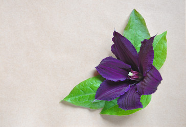 Similar image 1388226