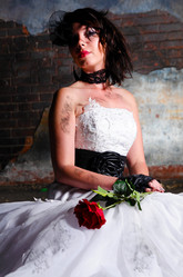 Similar image 1388278