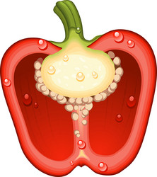 Similar image 1388362