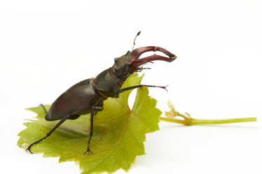 Similar image 1388744