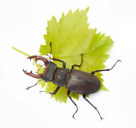 Similar image 1388746