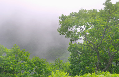 Similar image 1388752