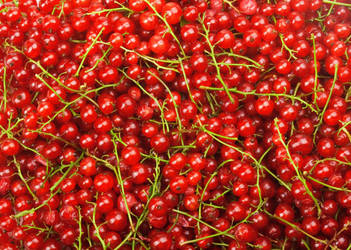 Similar image 1388765