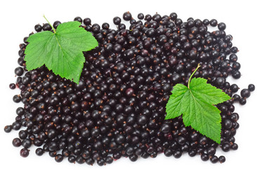 Similar image 1388767