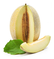 Similar image 1388773