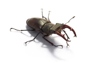 Similar image 1388877