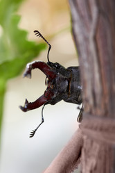 Similar image 1389441