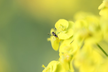 Similar image 1389442