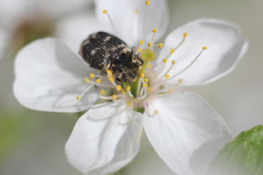 Similar image 1389443