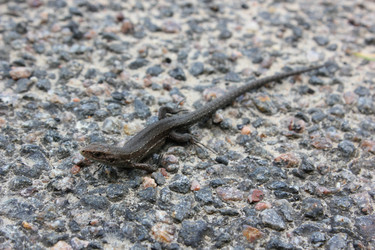 Similar image 1389444