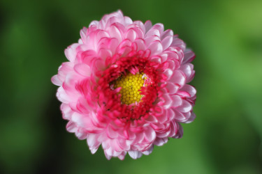 Similar image 1389445