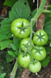 Similar image 1389452