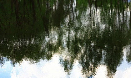 Similar image 1389460