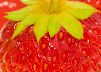 Similar image 1389462