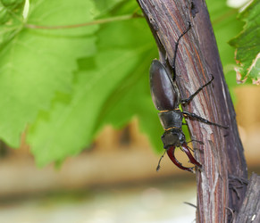 Similar image 1389463