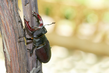 Similar image 1389464