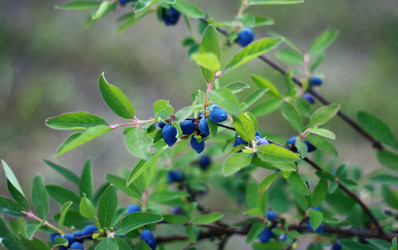 Similar image 1389486