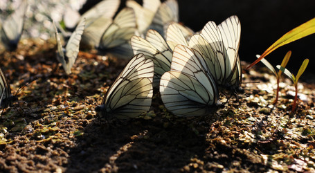 Similar image 1389487