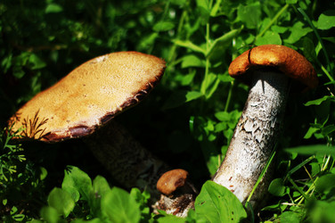 Similar image 1389489