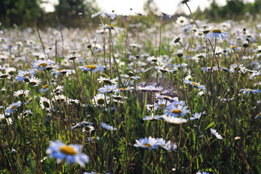 Similar image 1389490