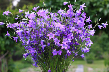 Similar image 1389493