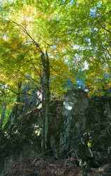 Similar image 1389511