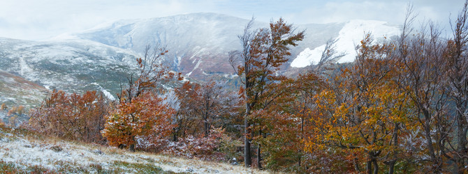 Similar image 1389519