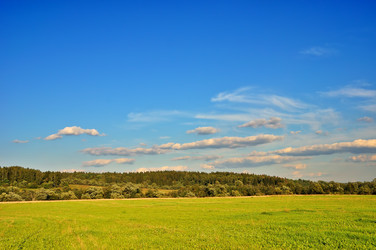 Similar image 1389581