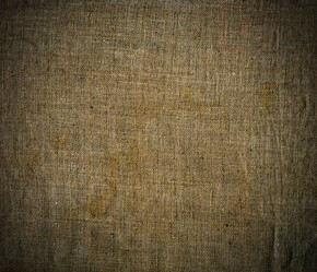 Similar image 1389588