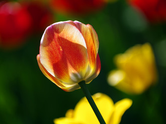 Similar image 1389616