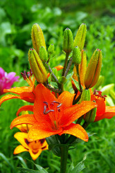 Similar image 1389617