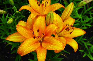 Similar image 1389618