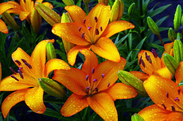 Similar image 1389619