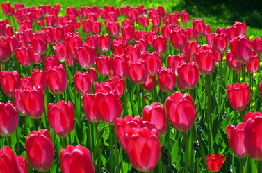 Similar image 1389621