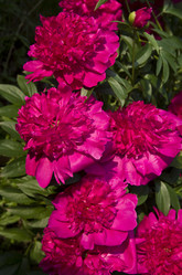 Similar image 1389622